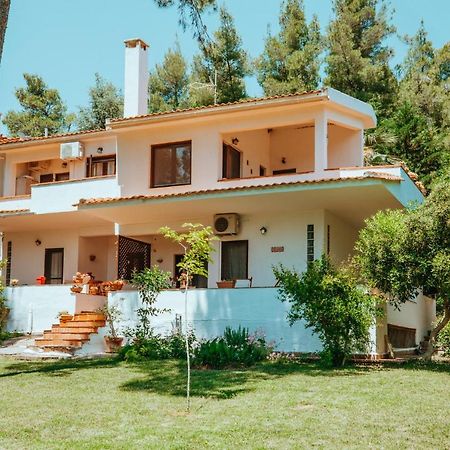 Forest House Near The Sea Sani  Buitenkant foto