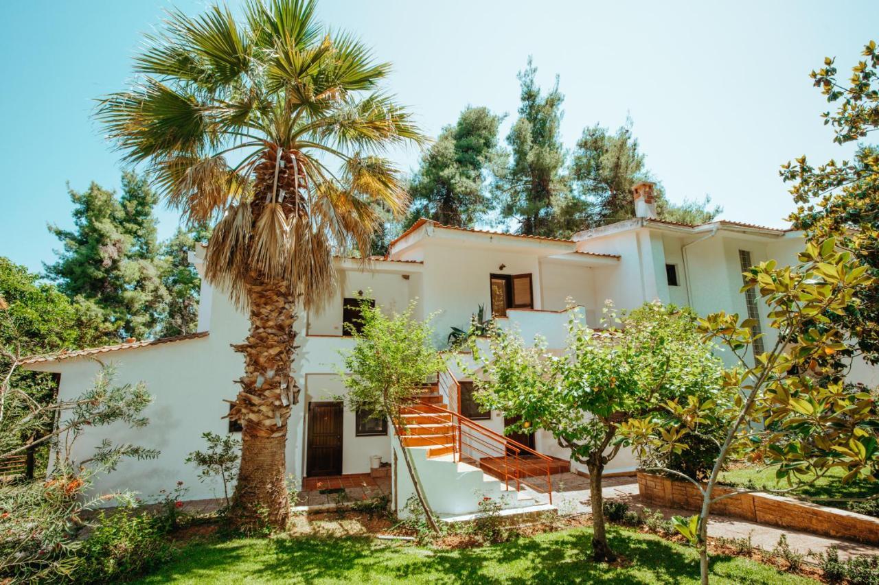 Forest House Near The Sea Sani  Buitenkant foto