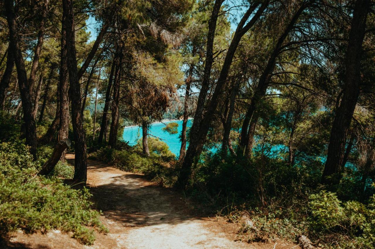 Forest House Near The Sea Sani  Buitenkant foto