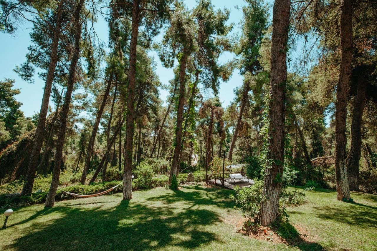Forest House Near The Sea Sani  Buitenkant foto